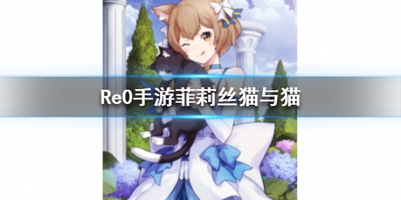 攻略网