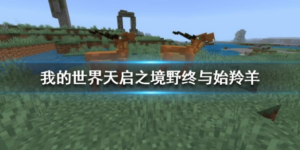 攻略网