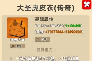 《我功夫特牛》大圣虎皮衣怎么样 大圣虎皮衣介绍