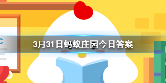 小明刚学会游泳可以去泳池的深水区游泳吗 3.21蚂蚁庄园今日答案