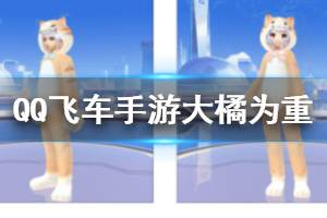 《QQ飞车手游》大橘为重套装获得方法 大橘小橘为重套装价格