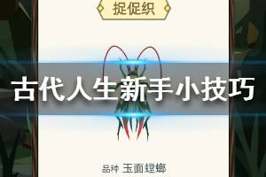 《古代人生》新手小技巧分享 新手玩法指南