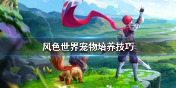 攻略网