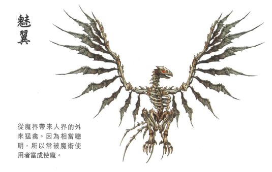 攻略网