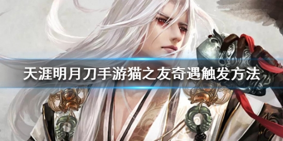 攻略网