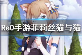 《从零开始的异世界生活》菲莉丝猫与猫技能属性介绍 菲莉丝猫与猫怎么样
