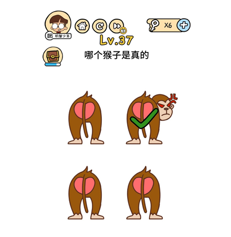 哪个猴子是真的 脑洞大大大第37关答案