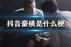 抖音豪横是什么梗 你有什么可豪横的出处是什么意思