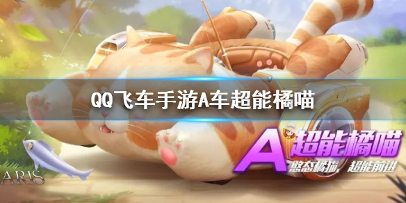 QQ飞车手游A车超能橘喵特性是什么 A车超能橘喵特性价格获得方法