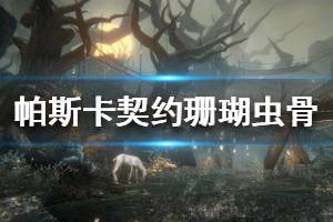 《帕斯卡契约》珊瑚虫骨怎么刷 珊瑚虫骨在哪刷多点