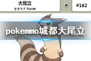 《pokemmo》城都大尾立配招技巧 大尾立技能搭配方法