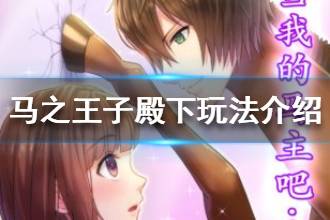 《马之王子殿下》玩法介绍 马之王子殿下怎么玩