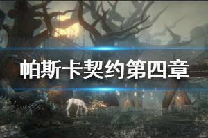 《帕斯卡契约》第四章攻略 第四章流程攻略