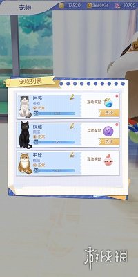 攻略网
