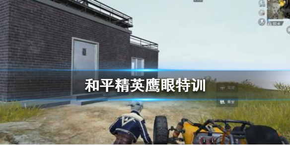 攻略网