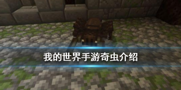 攻略网