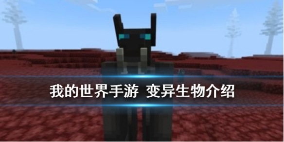 攻略网