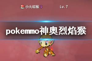 《pokemmo》神奥烈焰猴配招 烈焰猴PVP技能招式性格特性配招努力道具