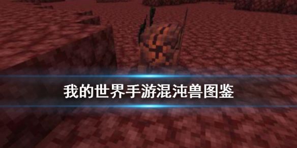 攻略网