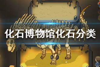 《我的化石博物馆》恐龙化石分类 恐龙化石类别介绍