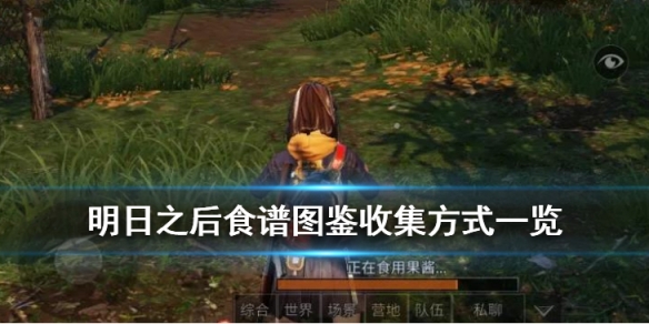 攻略网