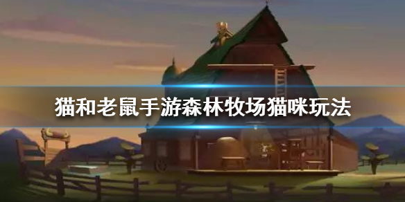 攻略网