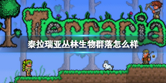 攻略网1