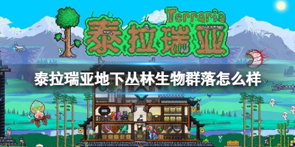 攻略网1