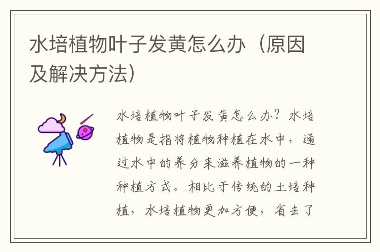 水培植物叶子发黄怎么办（原因及解决方法）