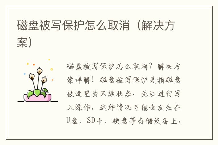 磁盘被写保护怎么取消（解决方案）