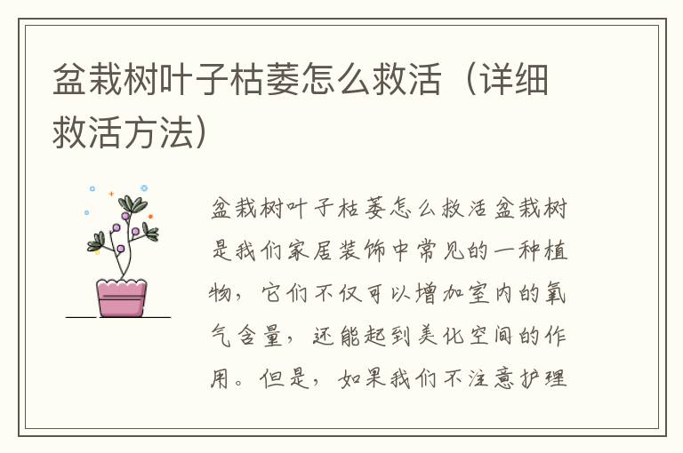 盆栽树叶子枯萎怎么救活（详细救活方法）
