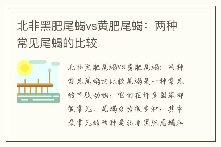 北非黑肥尾蝎vs黄肥尾蝎：两种常见尾蝎的比较