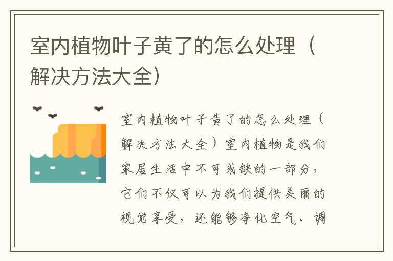 室内植物叶子黄了的怎么处理（解决方法大全）