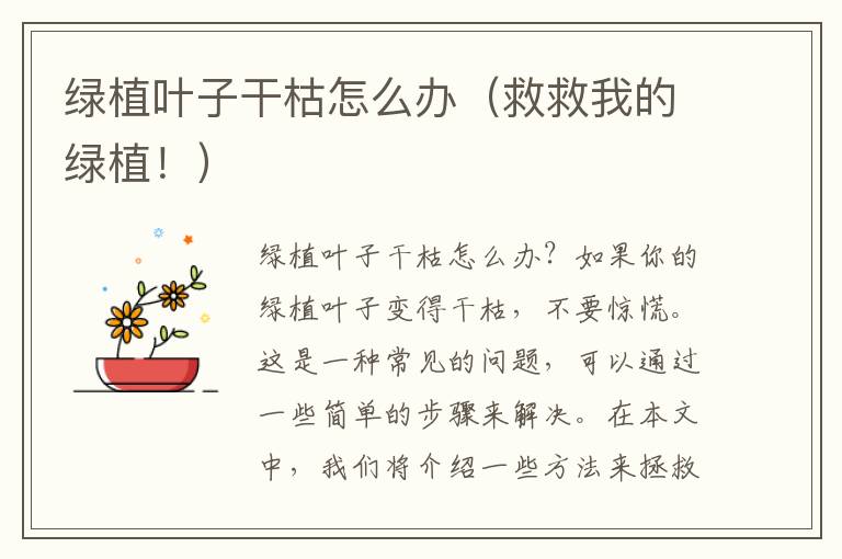 绿植叶子干枯怎么办（救救我的绿植！）