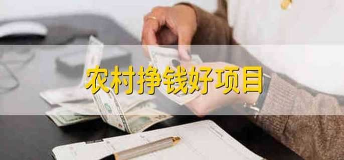 农村挣钱好项目 农村挣钱比较好的项目有哪些