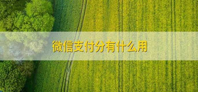 微信支付分有什么用 微信支付分的作用是什么