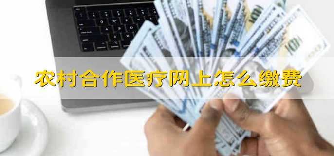 农村合作医疗网上怎么缴费