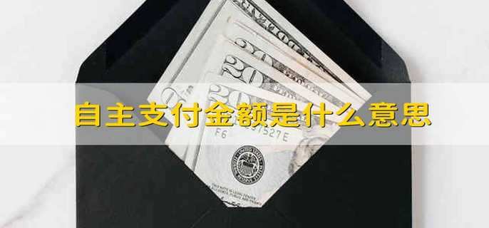 自主支付金额是什么意思