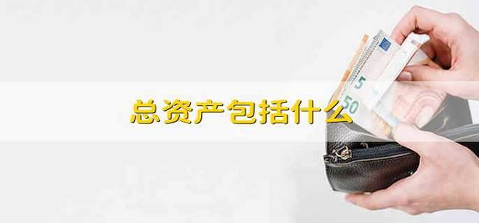 总资产包括什么