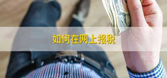 如何在网上报税
