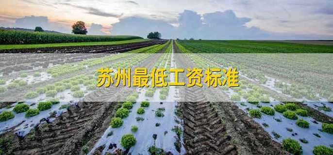苏州最低工资标准 苏州市的最低工资标准是多少