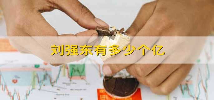 刘强东有多少个亿 刘强东的个人资产有多少