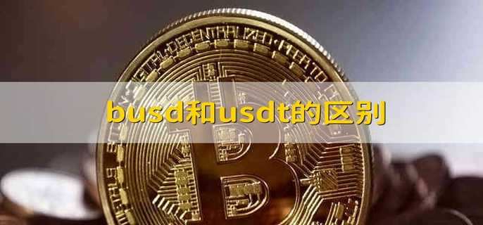busd和usdt的区别