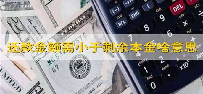 还款金额需小于剩余本金啥意思