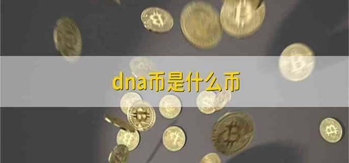 dna币是什么币
