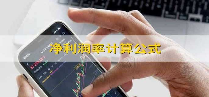 净利润率计算公式 公司净利润率的计算公式