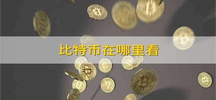 比特币在哪里看