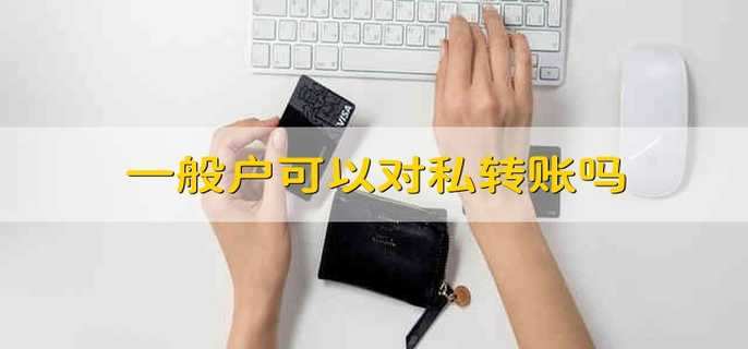 一般户可以对私转账吗