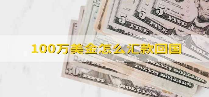 100万美金怎么汇款回国 从美国汇款到国内100万美金怎么做