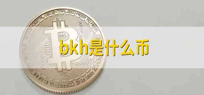 bkh是什么币